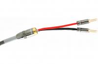 Atlas Ascent 3.5  2.0m [Transpose Z plug Gold]