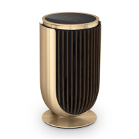 Активная акустическая система Bang & Olufsen Beolab 8 Gold Tone / Dark Oak