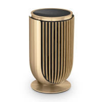 Активная акустическая система Bang & Olufsen Beolab 8 Gold Tone / Oak