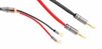 Atlas Ascent 3.5 3.0m [Transpose Z plug Gold]