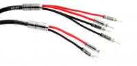 Atlas Mavros wired 2x4 3.0m [Transpose Spade Gold]