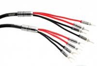 Atlas Mavros wired 4x4 3.0m [Transpose Spade Gold]