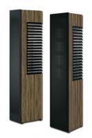 Piega Master Line Source 2 (Baffle anodised black/Zebrano)