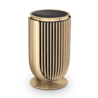 Активная акустическая система Bang & Olufsen Beolab 8 Gold Tone / Light Oak