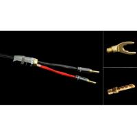 Atlas Mavros (2->2) 2.0m Transpose Spade Gold