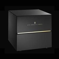 Steinway Lyngdorf M Boundary Woofer black lacquer