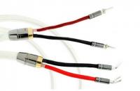 Atlas Asimi Silver wired 2 x 2  3.0m [Transpose Z plug Silver]